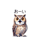 ドット絵 フクロウ 日常会話 40種（個別スタンプ：20）