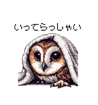 ドット絵 フクロウ 日常会話 40種（個別スタンプ：29）