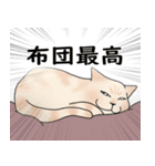 顔がでかい猫の日常スタンプ（個別スタンプ：18）