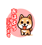 毎日使える！柴犬スタンプ(敬語)（個別スタンプ：1）