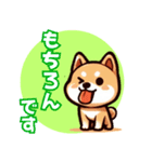 毎日使える！柴犬スタンプ(敬語)（個別スタンプ：10）