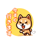 毎日使える！柴犬スタンプ(敬語)（個別スタンプ：11）