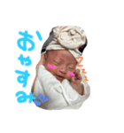 心陽たんスタ（個別スタンプ：1）