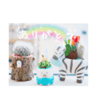 ちまき＊ミヌエット＊日常会話＊実写＊cat（個別スタンプ：10）
