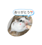 ロボロフスキーのだいふくスタンプ（個別スタンプ：3）