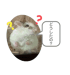 ロボロフスキーのだいふくスタンプ（個別スタンプ：4）
