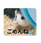 ロボロフスキーのだいふくスタンプ（個別スタンプ：5）