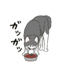 ハスキー犬っぽいハスキー犬スタンプ（個別スタンプ：8）