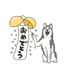 ハスキー犬っぽいハスキー犬スタンプ（個別スタンプ：17）