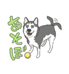 ハスキー犬っぽいハスキー犬スタンプ（個別スタンプ：28）
