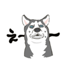 ハスキー犬っぽいハスキー犬スタンプ（個別スタンプ：35）