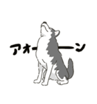 ハスキー犬っぽいハスキー犬スタンプ（個別スタンプ：37）
