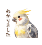 ふわふわ水彩 オカメインコ（個別スタンプ：3）