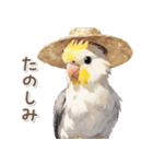 ふわふわ水彩 オカメインコ（個別スタンプ：15）