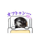 チワワのくうちゃん(ワンコ)（個別スタンプ：2）