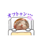 ちまちゃん動く（個別スタンプ：16）