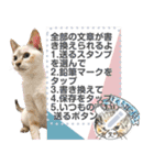 全文 書き換えられる100文字まで保護猫応援（個別スタンプ：1）