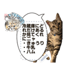 全文 書き換えられる100文字まで保護猫応援（個別スタンプ：10）