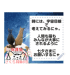 全文 書き換えられる100文字まで保護猫応援（個別スタンプ：13）