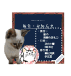 全文 書き換えられる100文字まで保護猫応援（個別スタンプ：21）