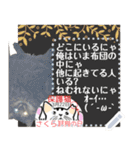 全文 書き換えられる100文字まで保護猫応援（個別スタンプ：24）