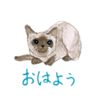 ZUGA！スタンプ6（個別スタンプ：1）