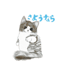 ZUGA！スタンプ6（個別スタンプ：3）
