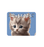 可愛い子猫のスタンプだよ！⑧（個別スタンプ：5）