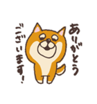 日常使い＆敬語◎柴犬ひまわりスタンプ（個別スタンプ：3）