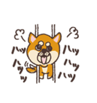 日常使い＆敬語◎柴犬ひまわりスタンプ（個別スタンプ：33）