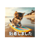 サーフィン大好き猫の日常会話（個別スタンプ：34）