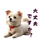 かわいい子犬～夫婦の日常語1（個別スタンプ：1）