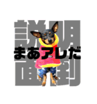 蘭丸先輩8（個別スタンプ：7）