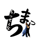 蘭丸先輩8（個別スタンプ：38）