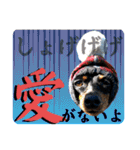 蘭丸先輩8（個別スタンプ：39）