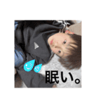 こはしゃん★スタンプ（個別スタンプ：22）