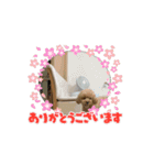 ペニ子☆スタンプ0320（個別スタンプ：10）