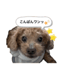 ルナくんスタンプ 3（個別スタンプ：3）