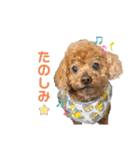 ルナくんスタンプ 3（個別スタンプ：10）