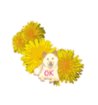 白柴犬諭吉2024（個別スタンプ：2）