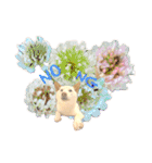 白柴犬諭吉2024（個別スタンプ：3）