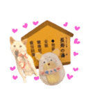 白柴犬諭吉2024（個別スタンプ：28）