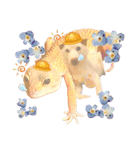 白柴犬諭吉2024（個別スタンプ：29）