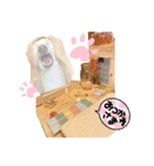 白柴犬諭吉2024（個別スタンプ：34）