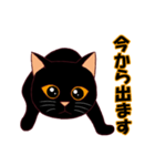 黒猫ちゃんの日常会話（個別スタンプ：13）