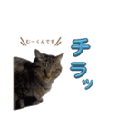 むさし＆れな＆くぅ（個別スタンプ：2）