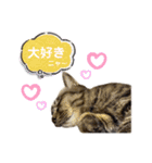 むさし＆れな＆くぅ（個別スタンプ：3）