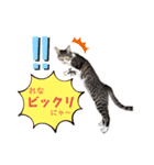 むさし＆れな＆くぅ（個別スタンプ：5）