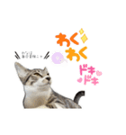 むさし＆れな＆くぅ（個別スタンプ：6）