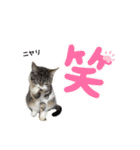 むさし＆れな＆くぅ（個別スタンプ：7）